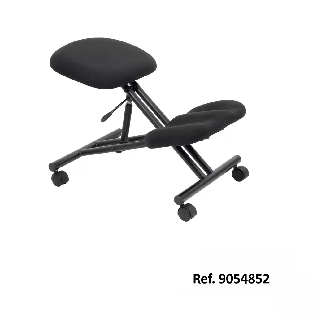 Sports Chair 20