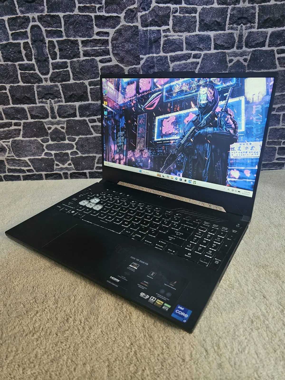 ASUS TUF Gaming FX517ZM Laptop