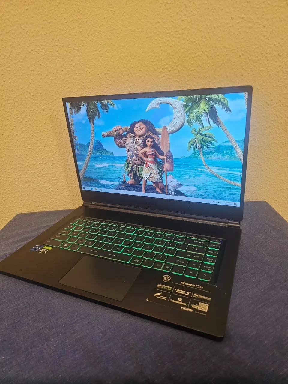 MSI Stealth Gaming Laptop